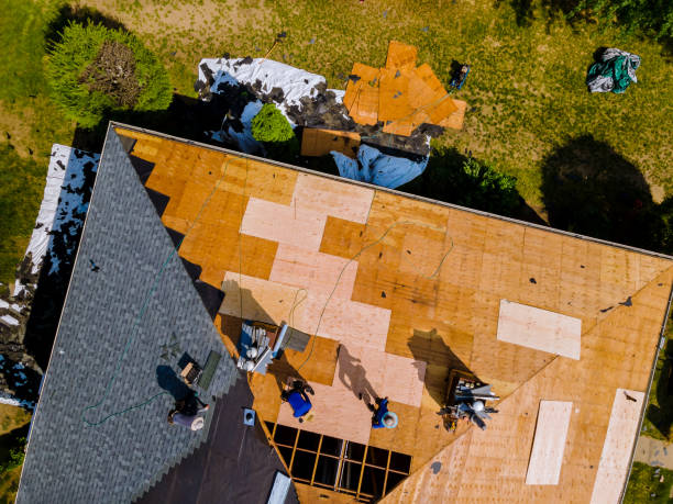 Trusted Ludowici, GA Roofing Contractor Experts