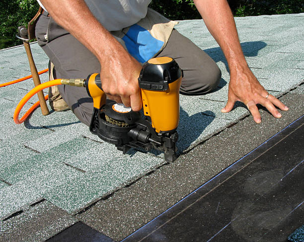 Best Roof Repair Services  in Ludowici, GA