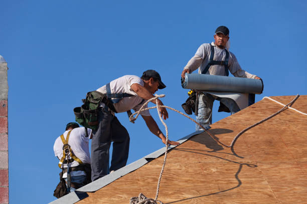 Best Residential Roofing Contractor  in Ludowici, GA