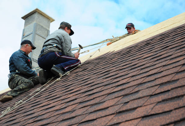 Best Local Roofing Companies  in Ludowici, GA