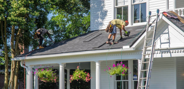 Best Residential Roofing Contractor  in Ludowici, GA