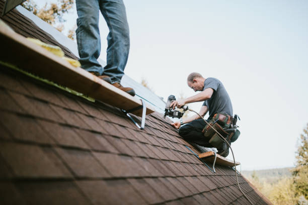 Roof Installation Near Me in Ludowici, GA