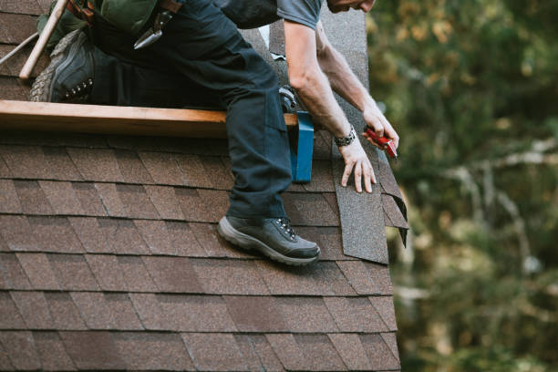 Best New Roof Installation  in Ludowici, GA